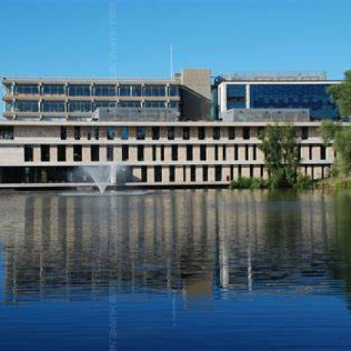 埃塞克斯大学