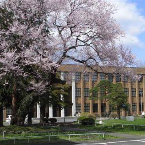 日本大学