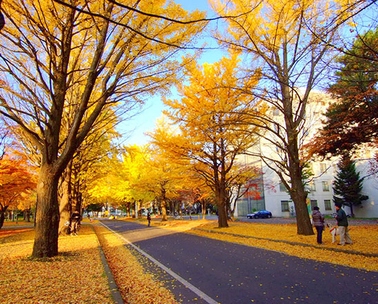 北海道大学